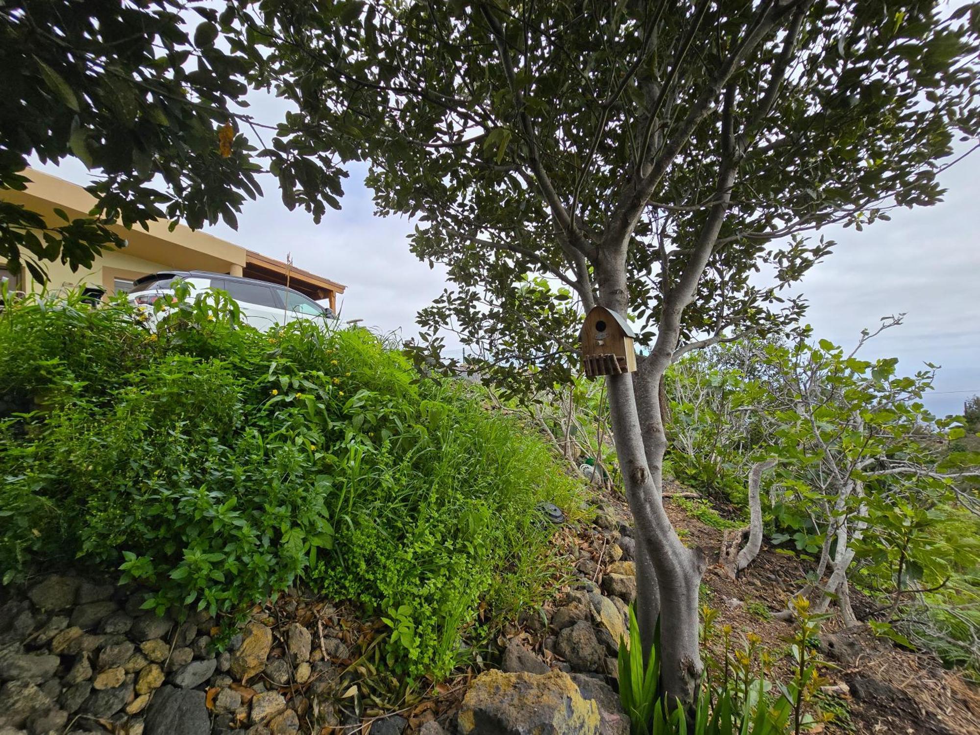 La Finca De La Bicicleta Breña Alta Exterior foto