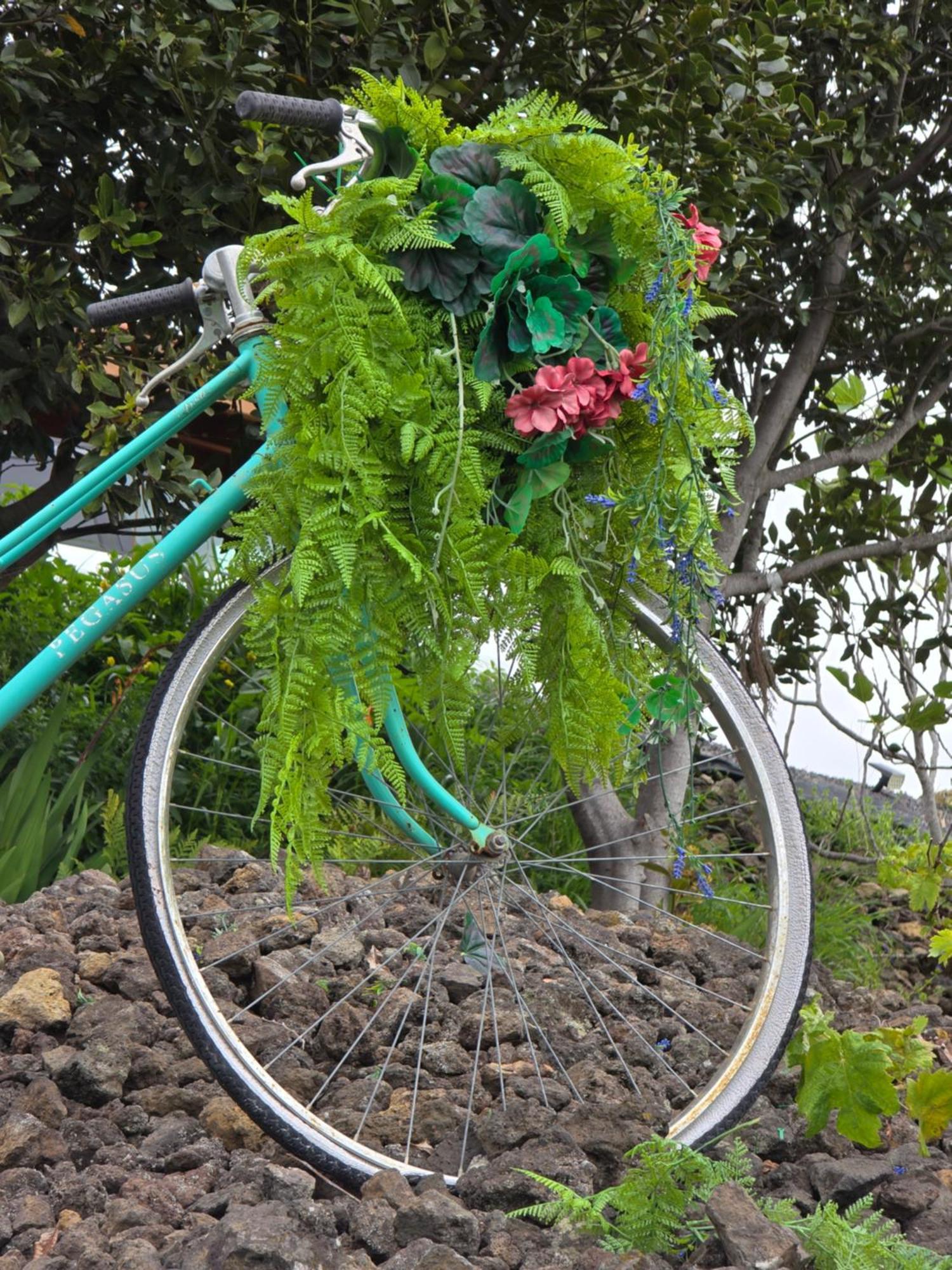 La Finca De La Bicicleta Breña Alta Exterior foto